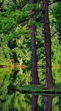 Lade kostenlos Hintergrundbilder Bäume,Landschaft,Flüsse für Handy oder Tablet herunter.