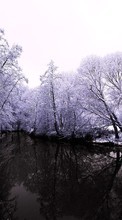 Landschaft,Winterreifen,Flüsse,Bäume,Schnee für Samsung Star 2 S5260 