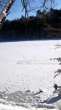 Lade kostenlos Hintergrundbilder Landschaft,Winterreifen,Flüsse,Bäume,Schnee für Handy oder Tablet herunter.