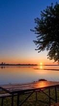 Landschaft,Wasser,Flüsse,Bäume,Sunset,Sun für Samsung Corby S3650