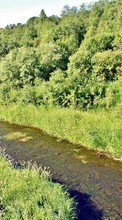 Landschaft,Flüsse,Bäume,Grass für Samsung Galaxy 551
