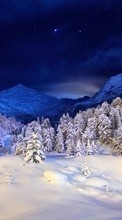 Bäume,Landschaft,Schnee für Sony Xperia 5 II