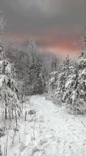 Lade kostenlos Hintergrundbilder Bäume,Landschaft,Schnee für Handy oder Tablet herunter.