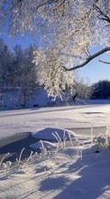 Lade kostenlos Hintergrundbilder Landschaft,Winterreifen,Bäume,Sun,Schnee für Handy oder Tablet herunter.