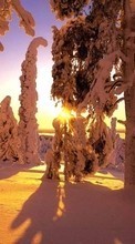Lade kostenlos Hintergrundbilder Landschaft,Winterreifen,Bäume,Sunset,Schnee für Handy oder Tablet herunter.