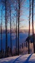 Lade kostenlos 480x800 Hintergrundbilder Landschaft,Winterreifen,Bäume,Sunset,Schnee für Handy oder Tablet herunter.