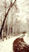 Landschaft,Winterreifen,Bäume,Schnee für Samsung Star 2 S5260 