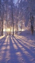 Landschaft,Winterreifen,Bäume,Schnee für HTC Desire 200