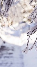 Lade kostenlos Hintergrundbilder Bäume,Schnee,Landschaft,Winterreifen für Handy oder Tablet herunter.