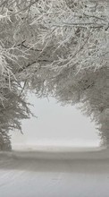 Bäume,Landschaft,Schnee,Winterreifen für LG KF750 Secret