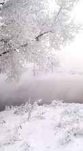 Landschaft,Winterreifen,Bäume,Schnee für Fly Wizard IQ245