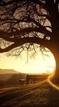 Lade kostenlos Hintergrundbilder Bäume,Sunset,Sun,Landschaft für Handy oder Tablet herunter.