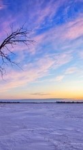 Lade kostenlos Hintergrundbilder Bäume,Landschaft,Sunset,Winterreifen für Handy oder Tablet herunter.