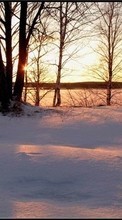 Lade kostenlos Hintergrundbilder Landschaft,Winterreifen,Bäume,Sunset für Handy oder Tablet herunter.