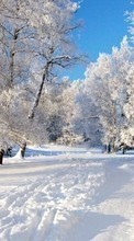 Lade kostenlos Hintergrundbilder Bäume,Landschaft,Winterreifen für Handy oder Tablet herunter.