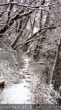 Lade kostenlos Hintergrundbilder Landschaft,Winterreifen,Bäume für Handy oder Tablet herunter.