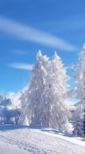 Lade kostenlos 360x640 Hintergrundbilder Landschaft,Winterreifen,Bäume für Handy oder Tablet herunter.
