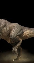 Lade kostenlos Hintergrundbilder Dinosaurs,Tiere für Handy oder Tablet herunter.