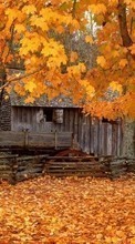 Lade kostenlos Hintergrundbilder Landschaft,Häuser,Herbst,Blätter für Handy oder Tablet herunter.