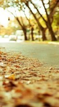 Lade kostenlos Hintergrundbilder Landschaft,Roads,Herbst,Blätter für Handy oder Tablet herunter.