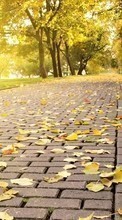 Lade kostenlos Hintergrundbilder Roads,Blätter,Herbst,Landschaft für Handy oder Tablet herunter.