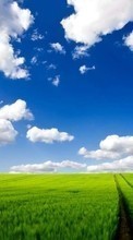 Lade kostenlos 240x400 Hintergrundbilder Landschaft,Grass,Sky,Roads für Handy oder Tablet herunter.