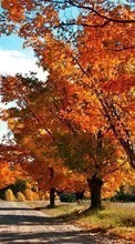 Lade kostenlos Hintergrundbilder Roads,Herbst,Landschaft für Handy oder Tablet herunter.