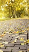 Lade kostenlos Hintergrundbilder Roads,Herbst,Landschaft für Handy oder Tablet herunter.