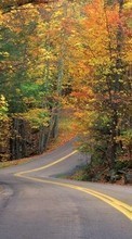 Lade kostenlos 240x400 Hintergrundbilder Landschaft,Roads,Herbst für Handy oder Tablet herunter.