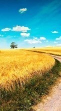 Landschaft,Felder,Roads für Samsung S8003