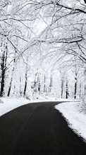 Lade kostenlos Hintergrundbilder Landschaft,Winterreifen,Roads für Handy oder Tablet herunter.