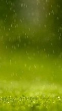 Grass,Hintergrund,Regen für Samsung Galaxy Grand Prime VE