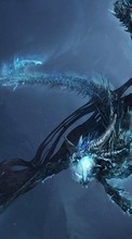 Dragons,Fantasie für Samsung Star 3 s5220
