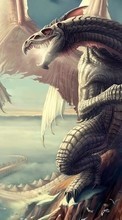 Fantasie,Dragons für Sony Xperia Z5 Premium