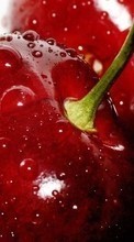 Kirsche,Lebensmittel,Berries für Micromax Q324