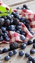 Lade kostenlos Hintergrundbilder Lebensmittel,Blaubeeren,Berries,Pflanzen,Blackberry für Handy oder Tablet herunter.