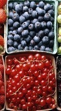 Lade kostenlos 800x480 Hintergrundbilder Obst,Lebensmittel,Hintergrund,Berries für Handy oder Tablet herunter.