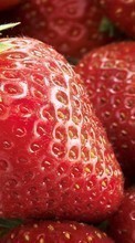Lade kostenlos Hintergrundbilder Obst,Lebensmittel,Erdbeere,Hintergrund,Berries für Handy oder Tablet herunter.