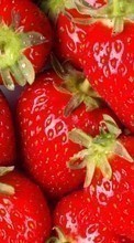 Lade kostenlos Hintergrundbilder Obst,Lebensmittel,Erdbeere für Handy oder Tablet herunter.