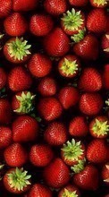 Lade kostenlos Hintergrundbilder Obst,Lebensmittel,Erdbeere für Handy oder Tablet herunter.