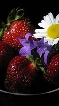 Lebensmittel,Obst,Erdbeere für Samsung Galaxy Pocket Neo