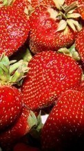Lebensmittel,Obst,Erdbeere für Sony Xperia T2 Ultra