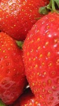 Lebensmittel,Obst,Erdbeere für Sony Ericsson K530