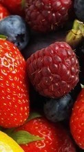 Lade kostenlos Hintergrundbilder Obst,Lebensmittel,Erdbeere,Himbeere,Blackberry für Handy oder Tablet herunter.