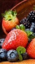Lade kostenlos Hintergrundbilder Obst,Lebensmittel,Erdbeere,Blackberry für Handy oder Tablet herunter.