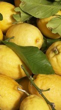 Obst,Lebensmittel,Zitronen für Apple iPad Air 2