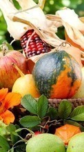Lebensmittel,Obst,Gemüse für Samsung Galaxy A20