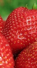 Lade kostenlos 1024x600 Hintergrundbilder Lebensmittel,Erdbeere,Berries für Handy oder Tablet herunter.