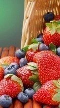 Lebensmittel,Berries,Erdbeere,Pflanzen für Motorola Defy