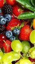 Lade kostenlos Hintergrundbilder Lebensmittel,Berries,Pflanzen für Handy oder Tablet herunter.